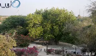 دره پرتغالی ها کیش
